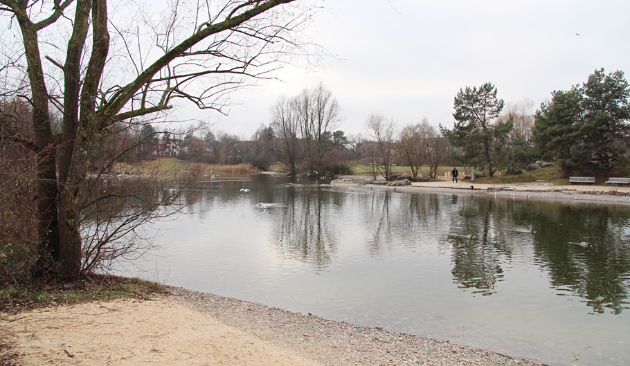 Der Uferbereich wurde ökologisch aufgewertet und ist mit den Kiesflächen jetzt noch besser zugänglich.