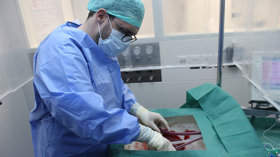Ein Chirurg schliesst die Spenderleber an die Perfusionsmaschine an.
