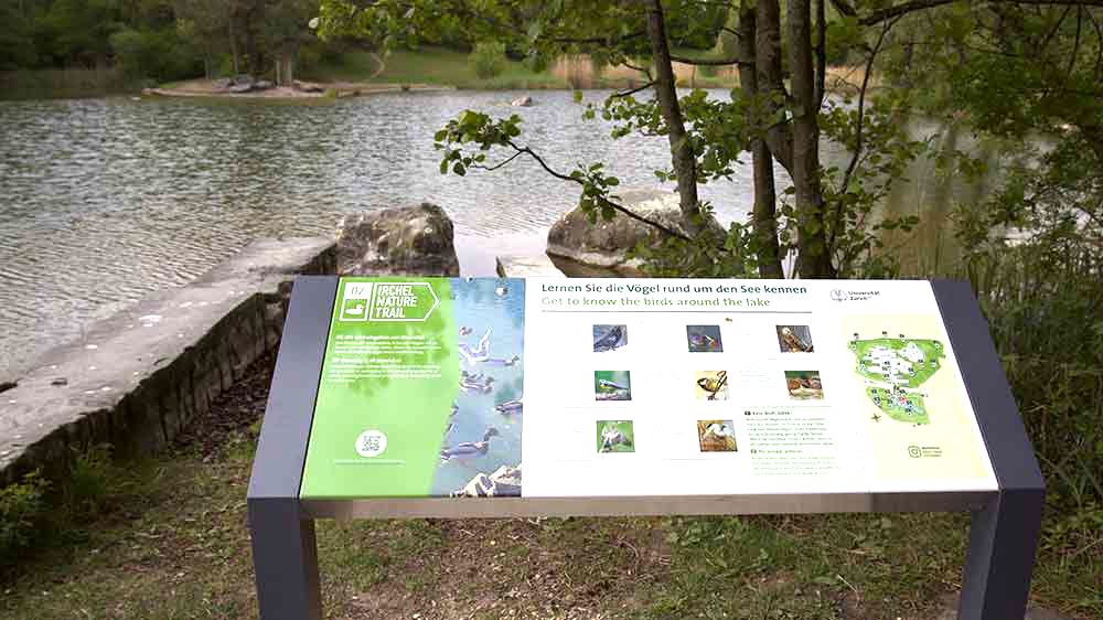 Wissenstafel auf dem Irchel Nature Trail