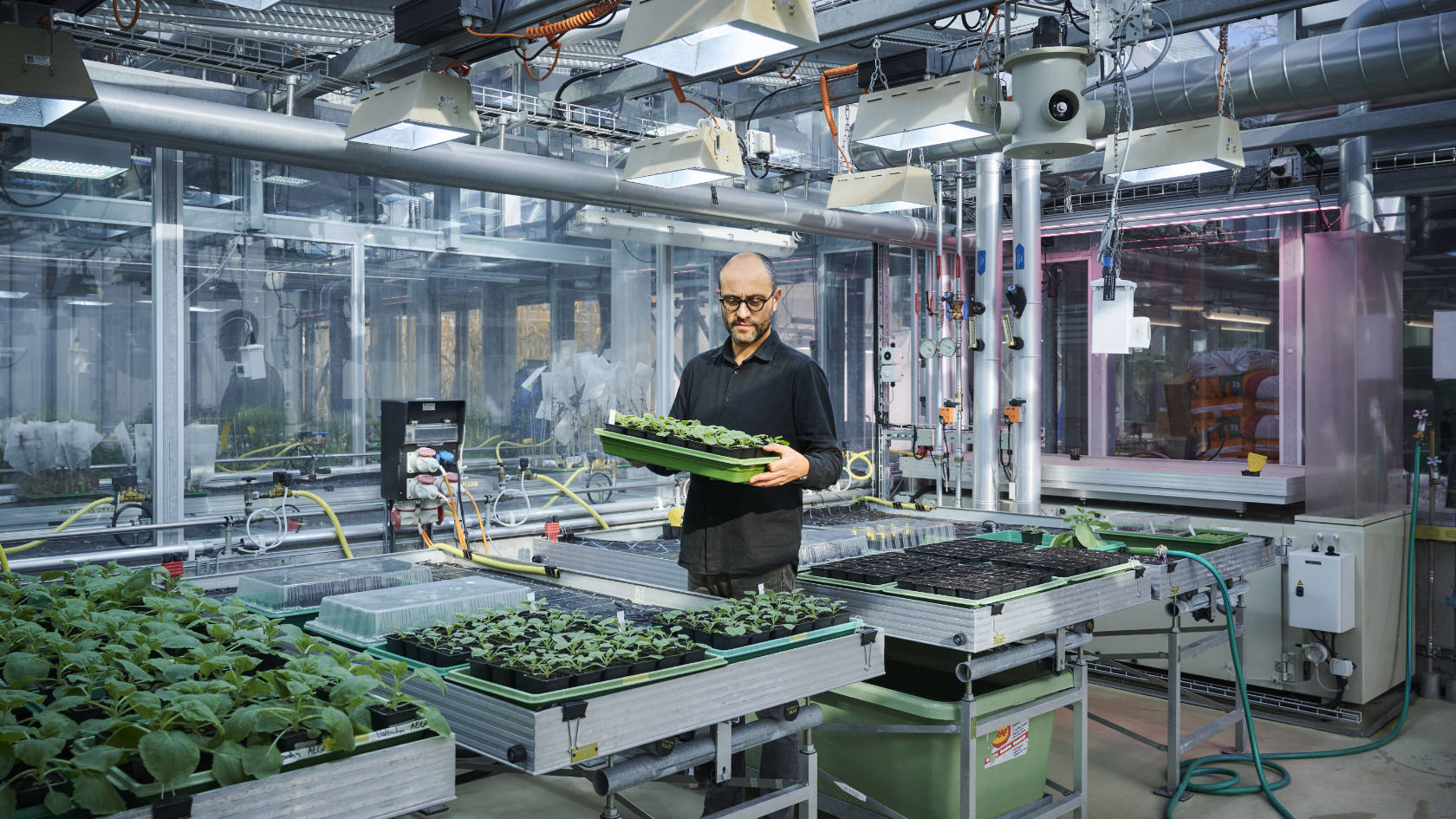 Cyril Zipfel, professor of plant physiology, researches peptides that could make plants more resistant to diseases and pests. (Picture Marc Latzel)