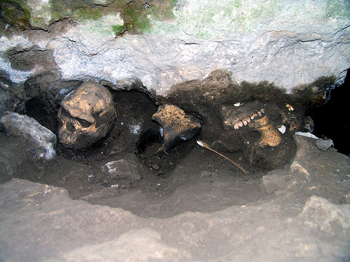 Am Fundort der Frühmenschen-Schädel in Georgien fanden sich auch Überreste von steinzeitlichen Tieren.
