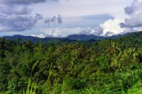 Wald und Berge in der Provinz Morobe von Papua-Neuguinea, aufgenommen vom Lae-Madang-Highway aus. (Bild: Zacky Ezedin)