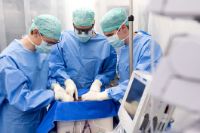 Das Wyss Zurich-Team schliesst die Spenderleber im Reinraum an die Perfusionsmaschine an. 