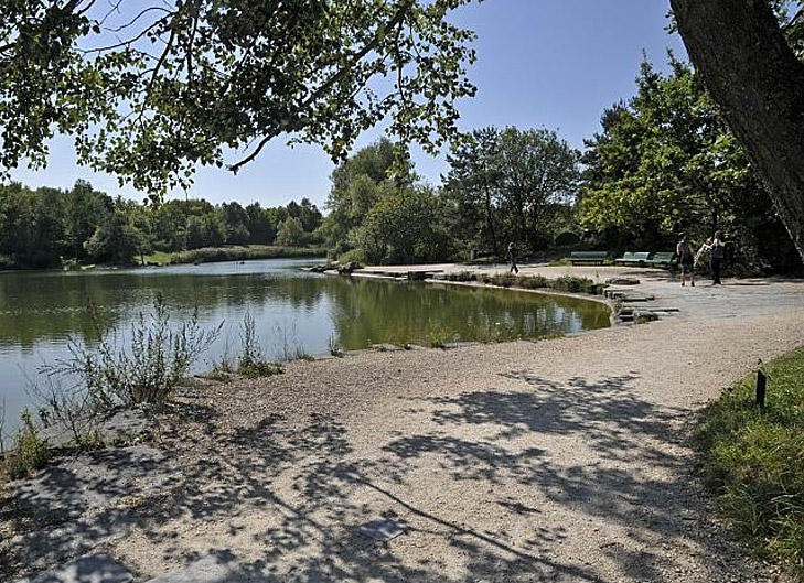 Eine besondere Attraktion des Parks sind die beiden Weiher mit ihrer Vielzahl an Pflanzen und Tieren. Im Bild der Zustand vor der Sanierung.