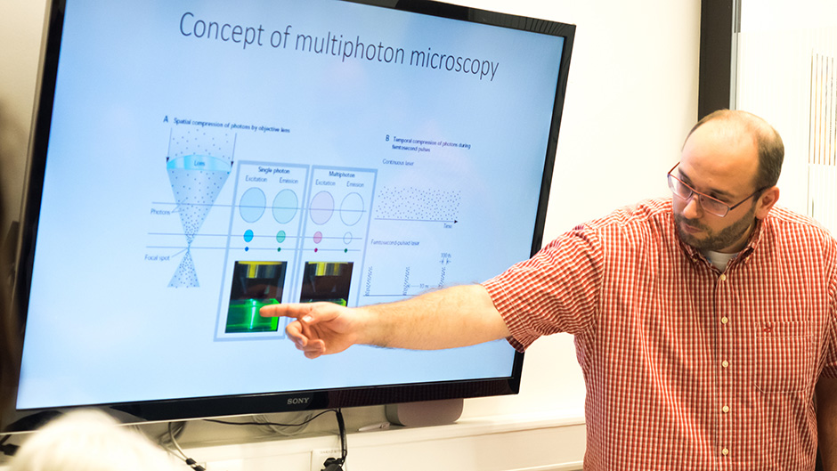 Auch Claus Schuh arbeitet mit Multiphotonen-Mikroskopie, er erforscht die Nebenwirkungen von Medikamenten in der Niere.