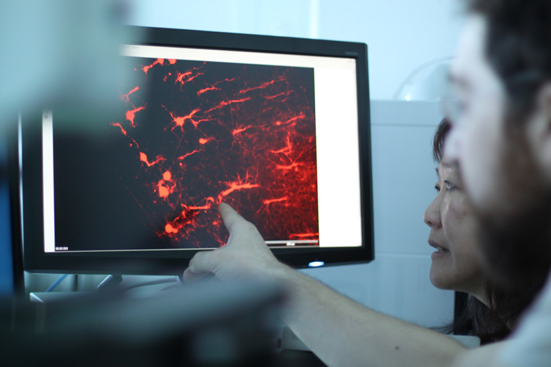 Forscherkollegen am Institut untersuchen die Hirnstruktur von Mäusen. Shih-Chii Liu lässt sich zeigen, wie die Nervenzellen angeordnet und vernetzt sind. Speziell interessiert sie, wie Ohr und Gehirn Töne und Geräusche verarbeiten.