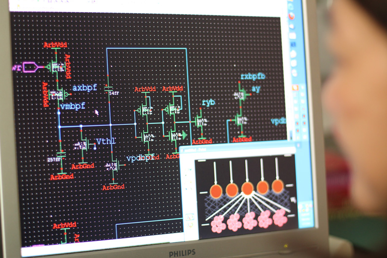 Am Computer modelliert sie mit hundert Nervenzellen eine vereinfachte Hörschnecke. Diese registriert und filtert die Töne im Ohr und leitet sie ans Gehirn weiter. Mit der Zeit wird das Computermodell mehrere tausend Nervenzellen umfassen.