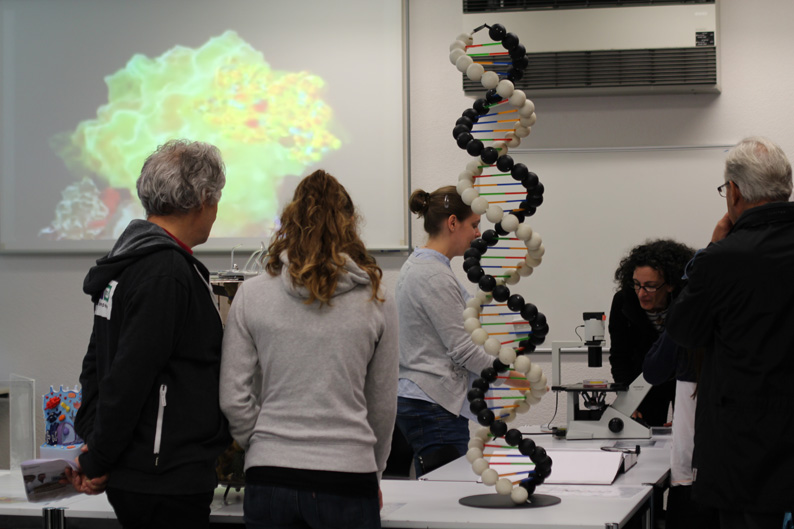 In der Veterinärbiochemie und Molekularbiologie können Besucherinnen und Besucher durchs Mikroskop schauen. Im Vordergrund: die DNA-Doppelhelix des Erbguts.