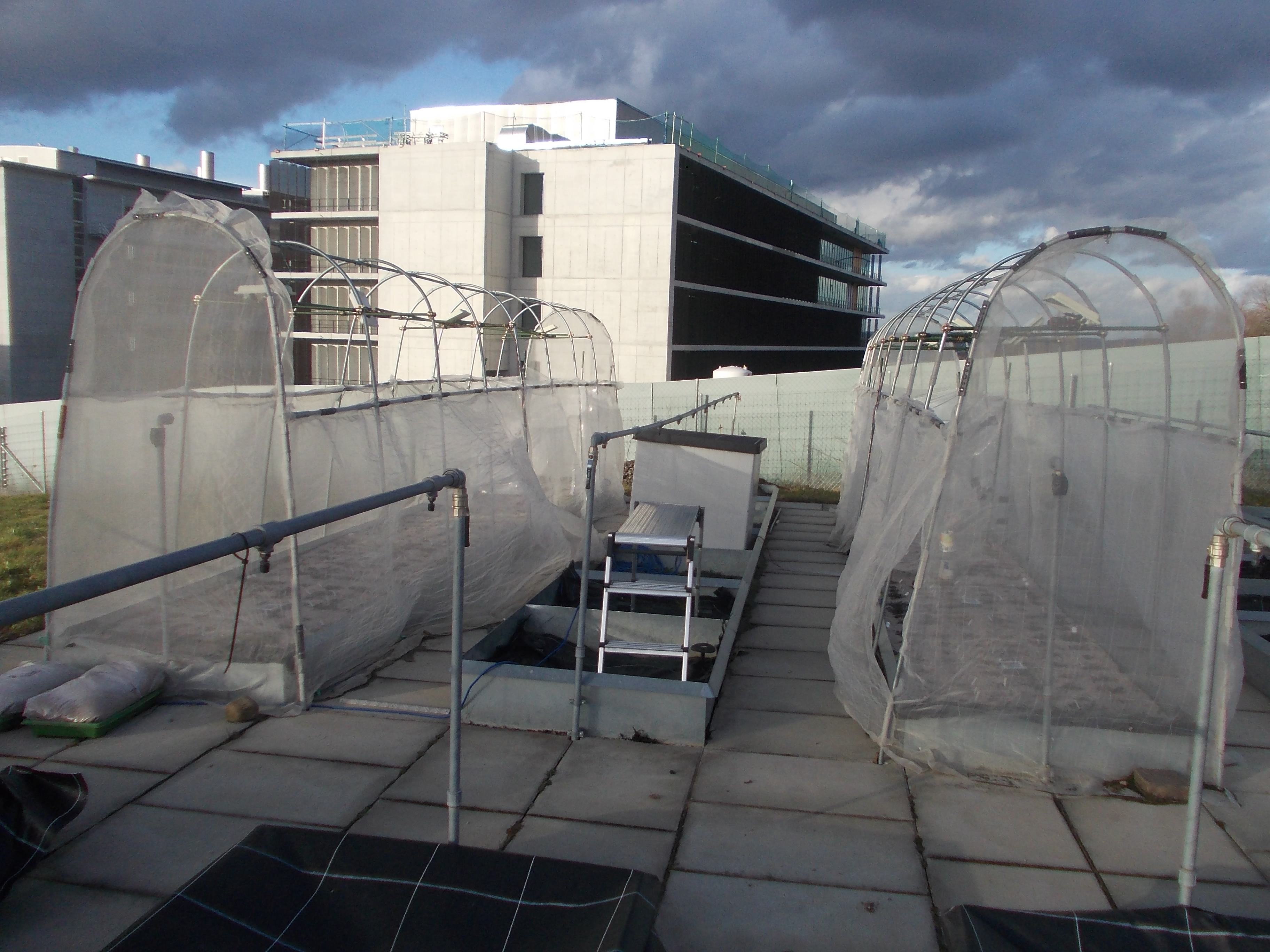 Die PlantServation Hardware im experimentellen Garten der Universität Zürich