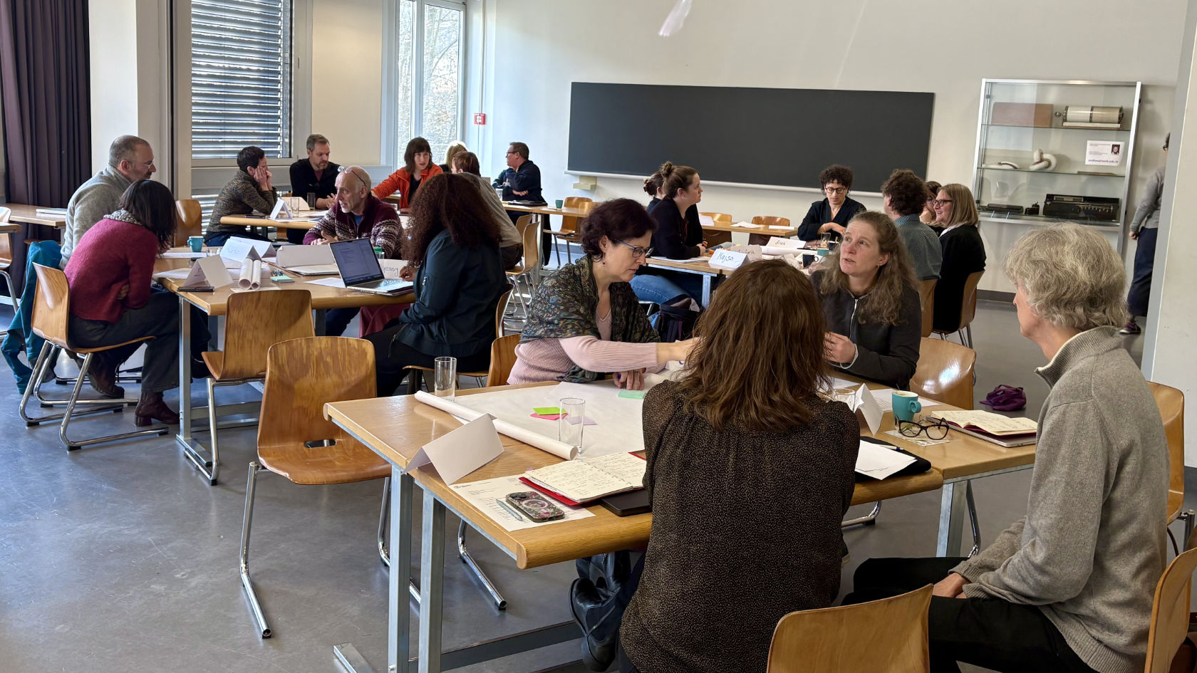 Vertreter:innen der 14 MNF-Institute besuchen Workshops mit Athena-Swan-Expert:innen