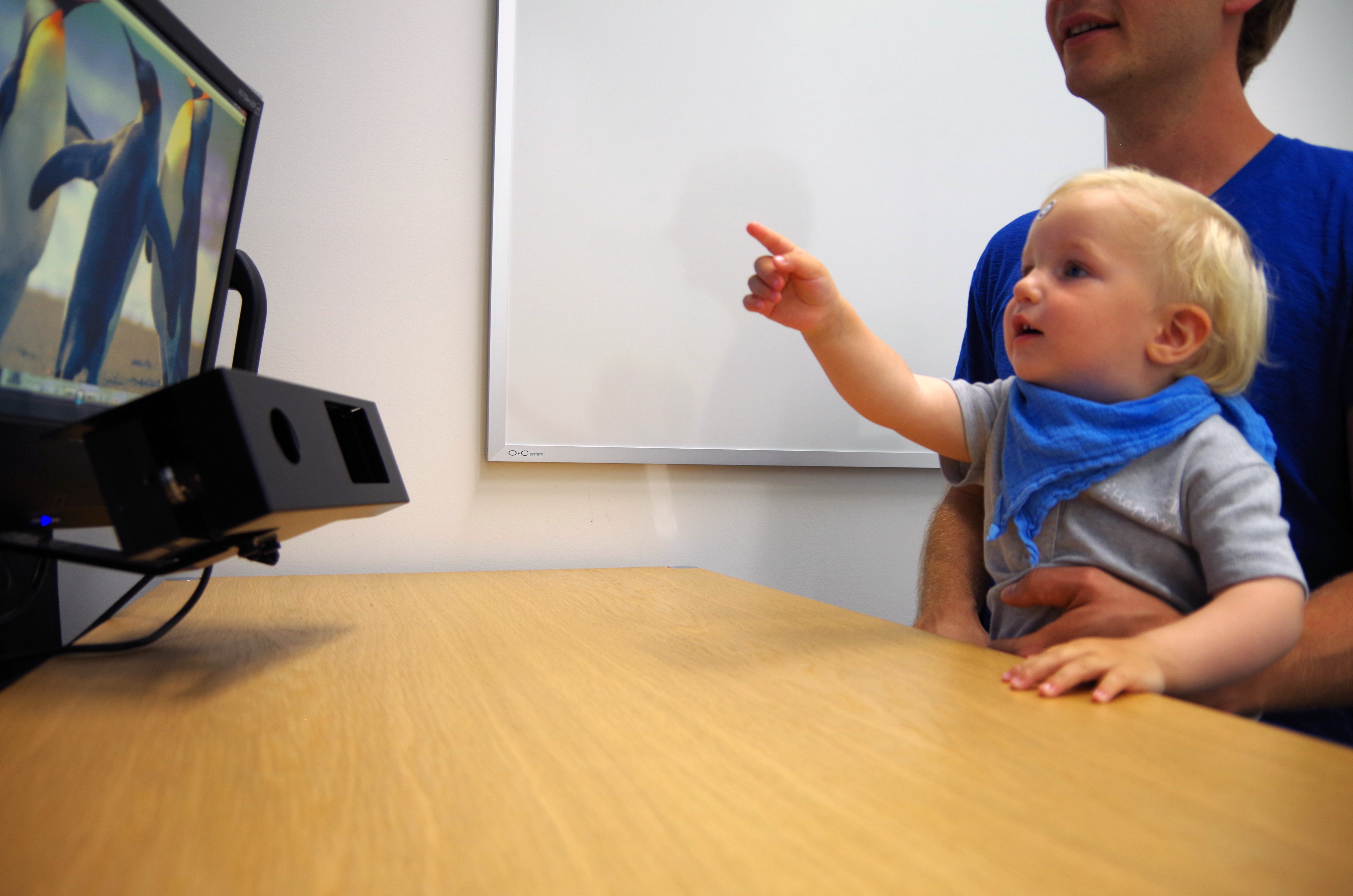 Kleinkind während eines Eye-tracking-Experiments
