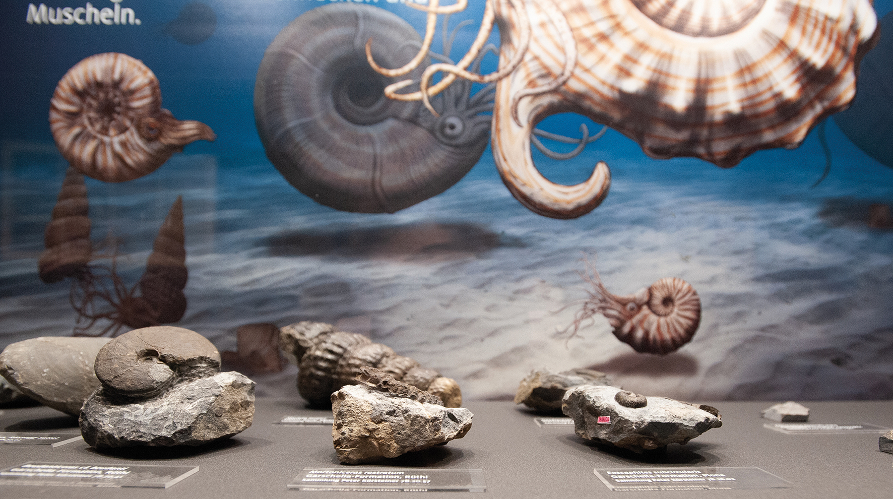 Blick in die Ausstellung
