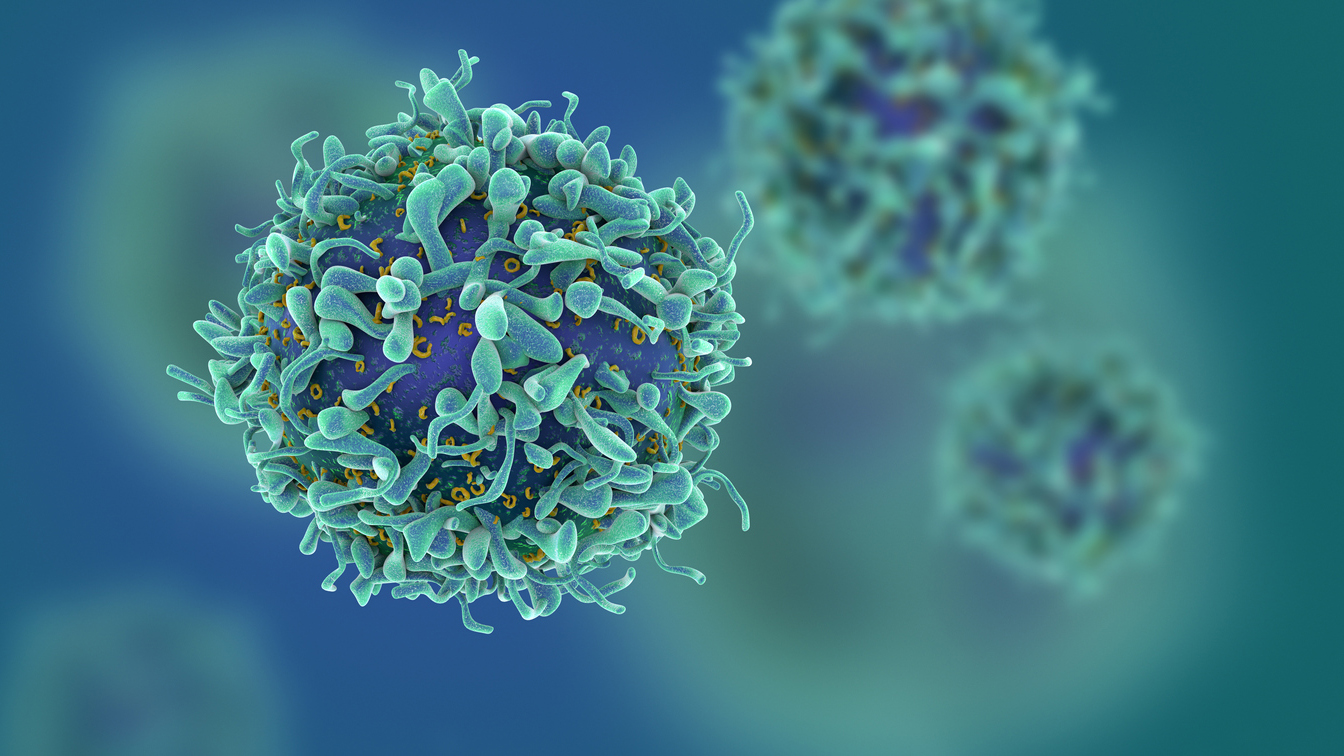 Virus-specific T cells recognize those body cells that are infected by coronaviruses and kill them. They are part of the cellular immune system. (Image: iStock/cgtoolbox)