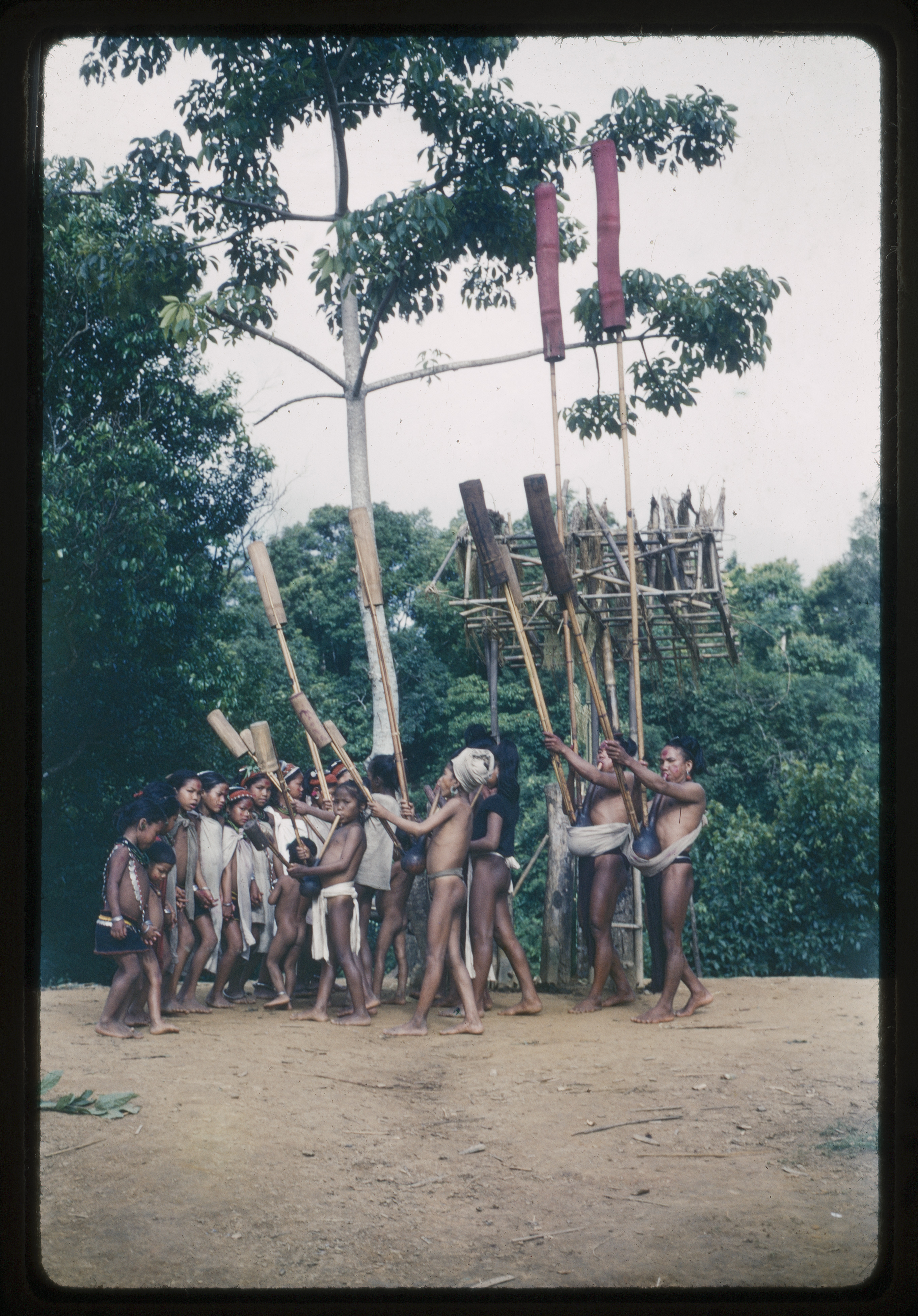 Festumzug mit Mundorgel-Orchester und Tanzgruppe bei einem Rinderfest im Dorf Tapwüa-Kua, wo Löffler den Grossteil seiner Feldforschungszeit verbrachte. Chittagong Hill Tracts (Bangladesch).