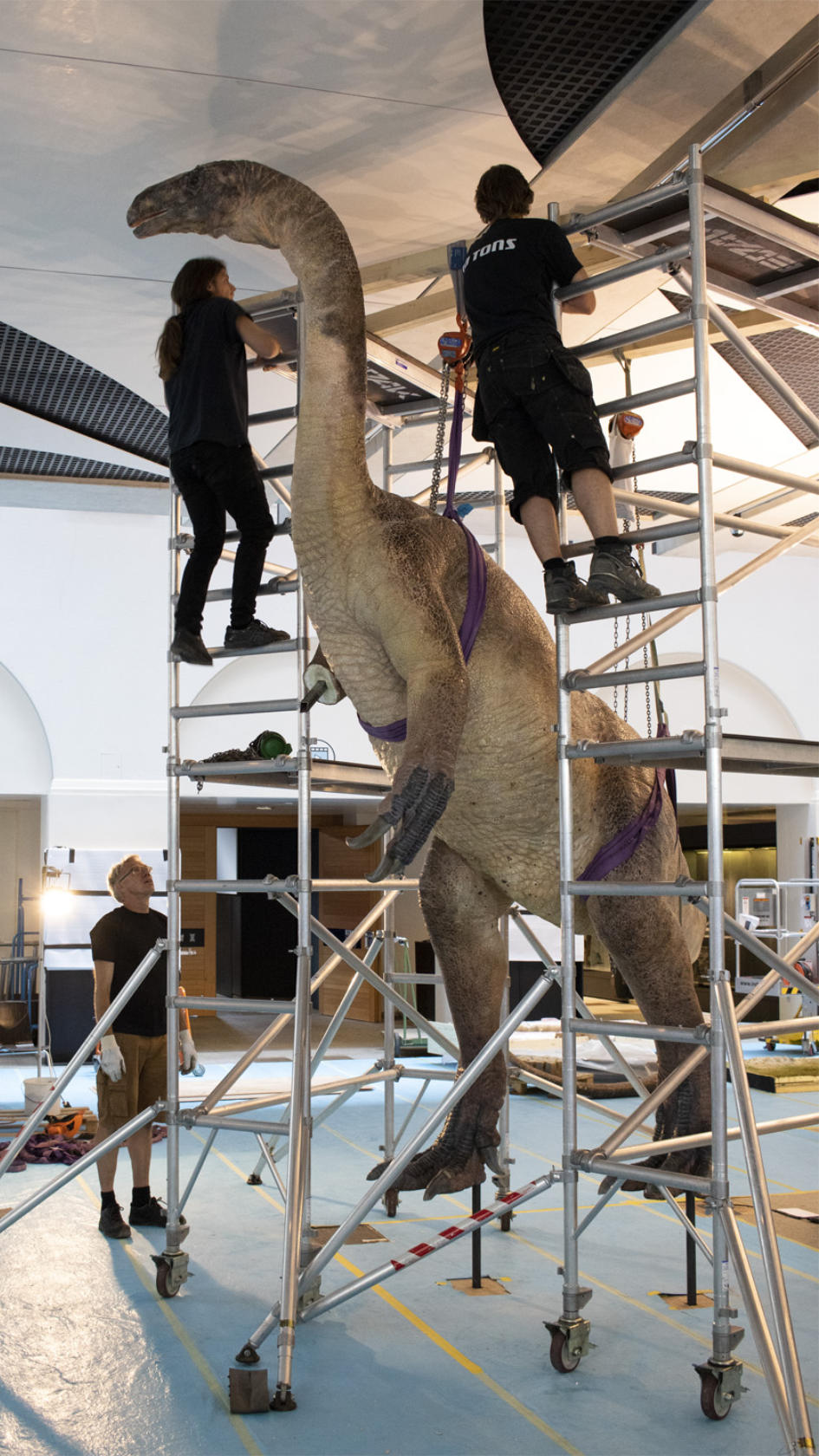 Die dänische Firma 10 Tons montiert ihre originalgetreue Nachbildung von Teoplati, dem Plateosaurus. (Bild: Dennis Hansen)