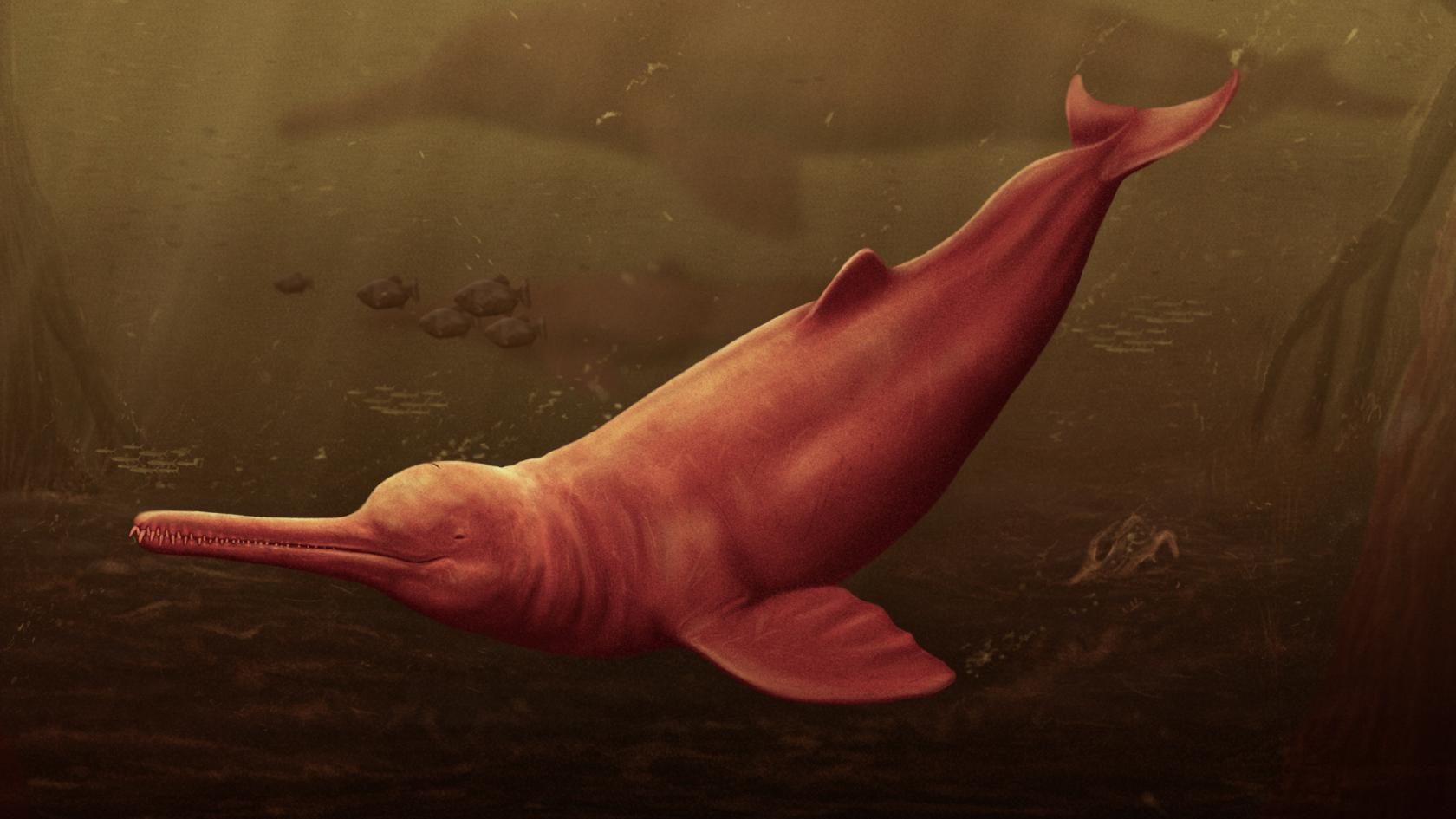 Artistic reconstruction of Pebanista yacuruna in the murky waters of the Peruvian proto-Amazonia