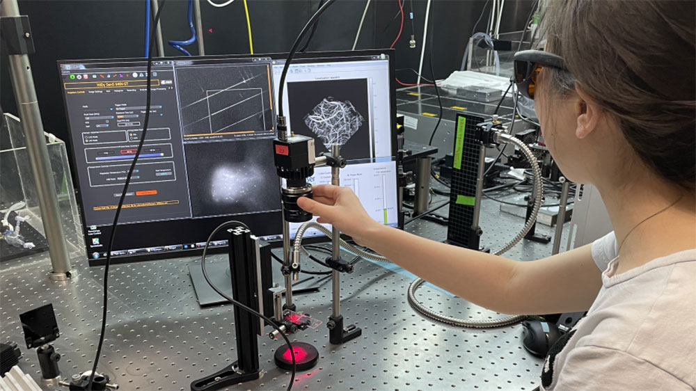 Eine Bildgebung im zweiten Nahinfrarot-Spektralfenster in Kombination mit einer neu entwickelten Infrarotkamera sowie einem neuen, aus Quantenpunkten bestehenden Kontrastmittel ermöglicht hochauflösende Bilder des Gehirns. 