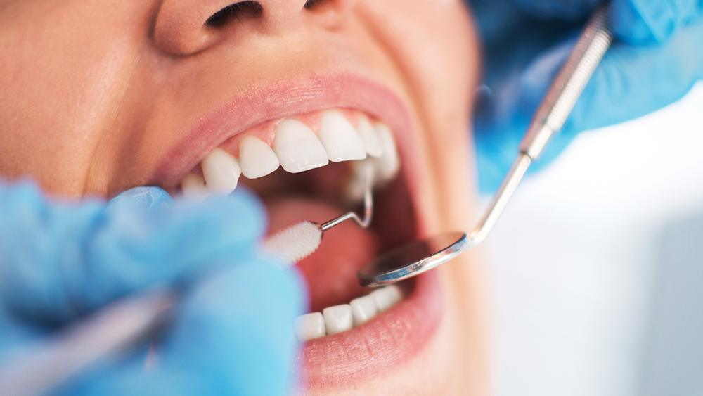 Die Studie zeigt die genaue Zusammensetzung von Zahnpulpa und des Zahnhalteapparates. Beide sind anfällig für Karies und Parodontitis und enthalten Stammzellen, die ein grosses regeneratives Potenzial besitzen