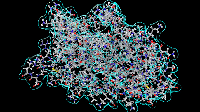 Molekulares Modell des menschlichen Erythropoetins
