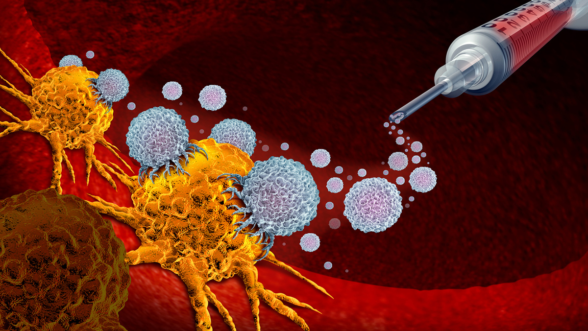 Genetically modified immune cells (white) attack the cancer cells (orange).