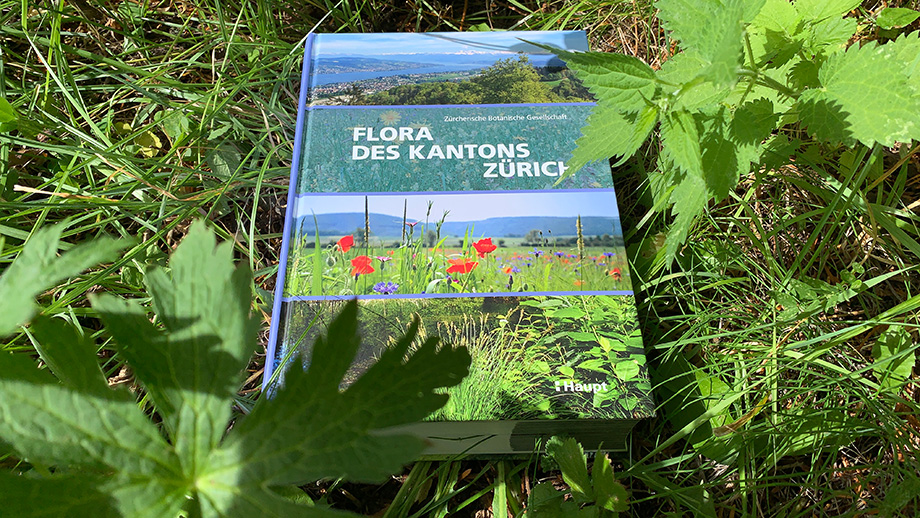 Buch Flora des Kantons Zürich