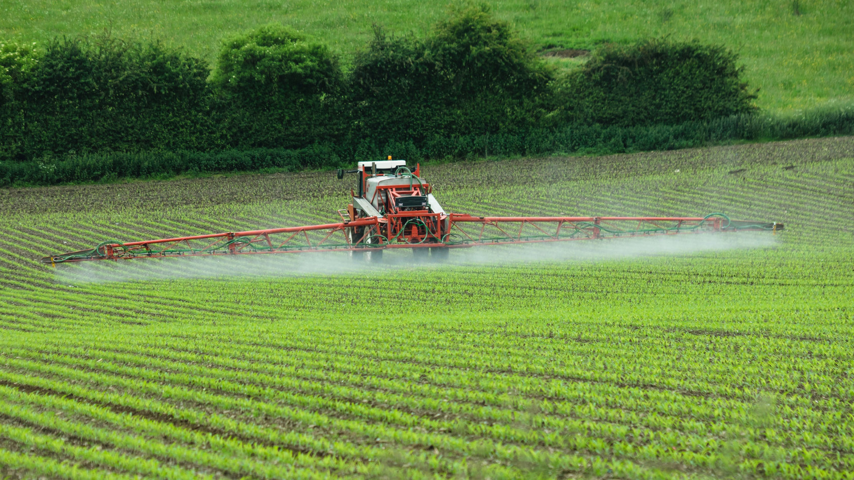 Landwirtschaftsfahrzeug verprüht Pestizide