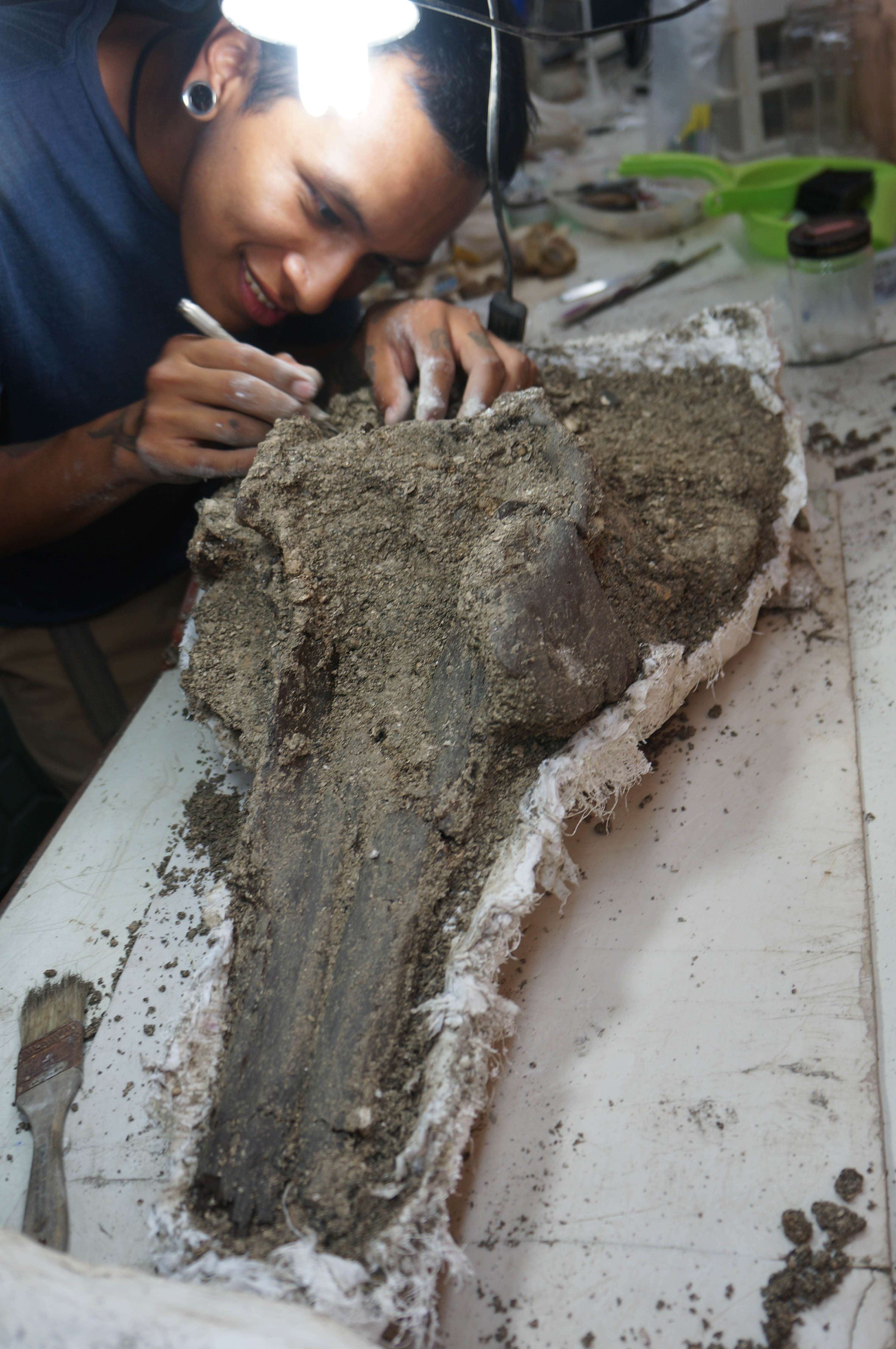 Der Paläontologe Aldo Benites-Palomino (Paläontologisches Institut der Universität Zürich) 2018 bei der Präparation des Holotyp-Schädels von Pebanista yacuruna im Naturhistorischen Museum von Lima