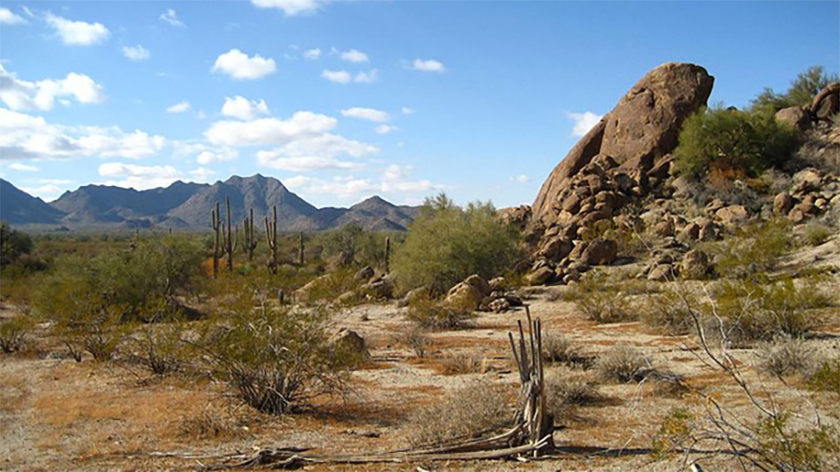<p>Higher rates of infant alloparenting were observed in regions with relatively cooler, dryer, and less predictable climates, such as the Sonoran desert inhabited by the Tohono Oʼodham people. Such harsh environments exhibit reduced biodiversity and tend to support smaller human population sizes,&nbsp;suggesting that people living in these regions face common challenges that increase the benefits of cooperative childcare.<span lang="EN-US" style="font-size:11.0pt"><span style="line-height:107%"><span style="font-family:"Calibri",sans-serif"> </span></span></span><span lang="DE" style="font-size:11.0pt"><span style="line-height:107%"><span style="font-family:"Calibri",sans-serif"> </span></span></span></p> (Image: Highqueue, Wikimedia.)