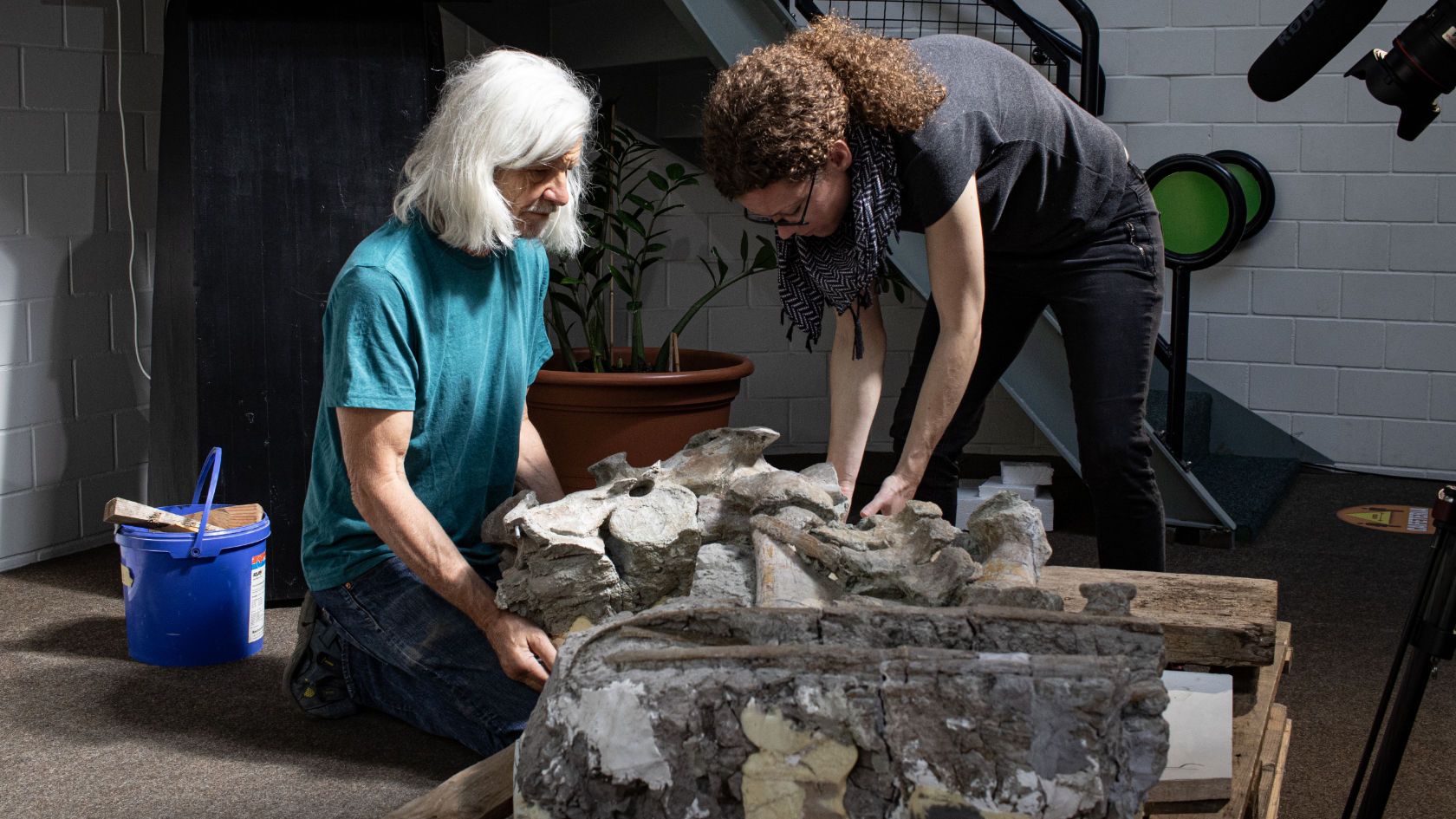 Ben Pabst vom Dinosauriermuseum Aathal und Ursina Bachmann bereiten den Beckenknochen des Plateosaurus für den Transport nach Zürich vor. (Foto: Dennis Hansen)