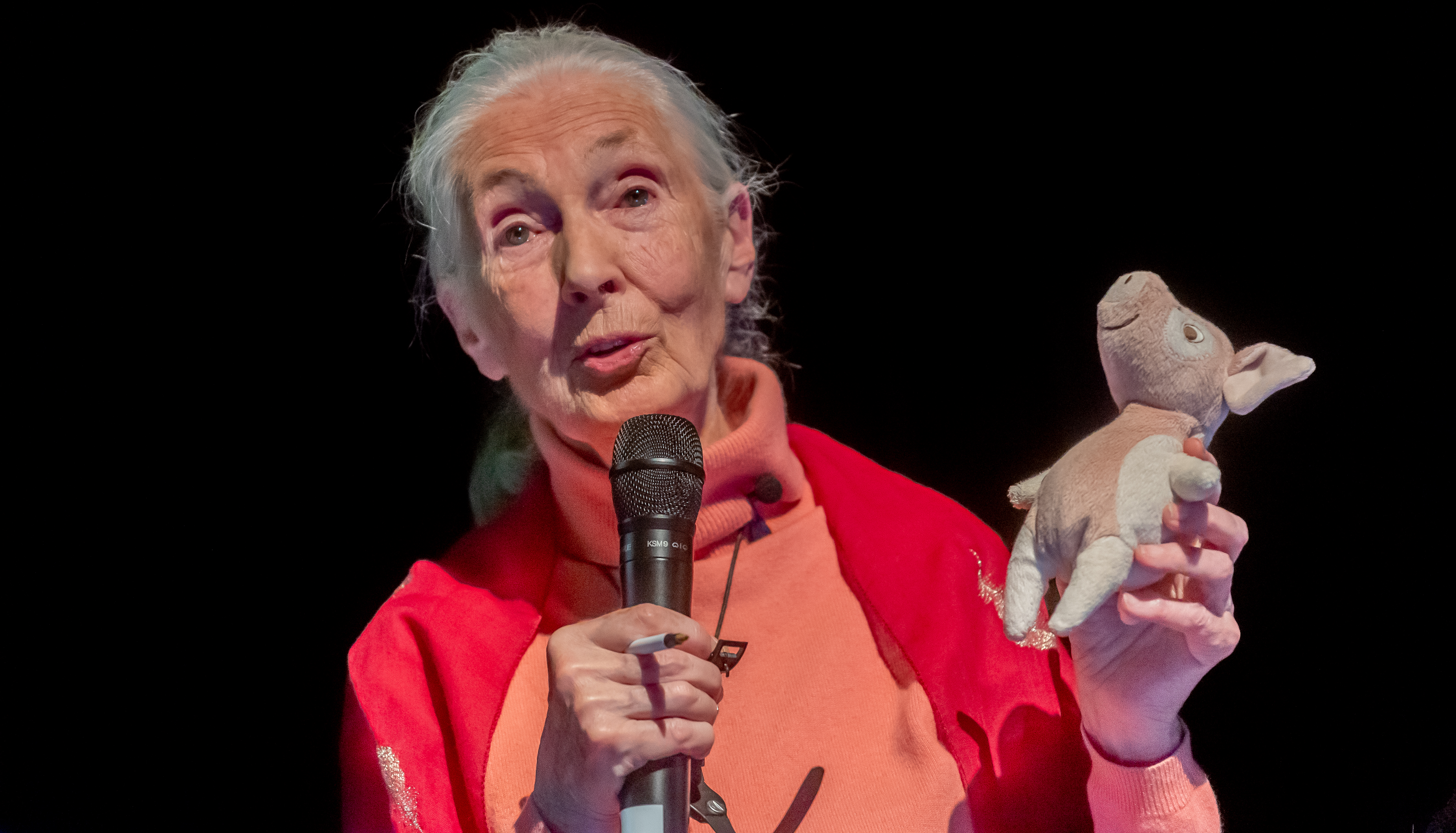 Jane Goodall at an event in November in Baden.