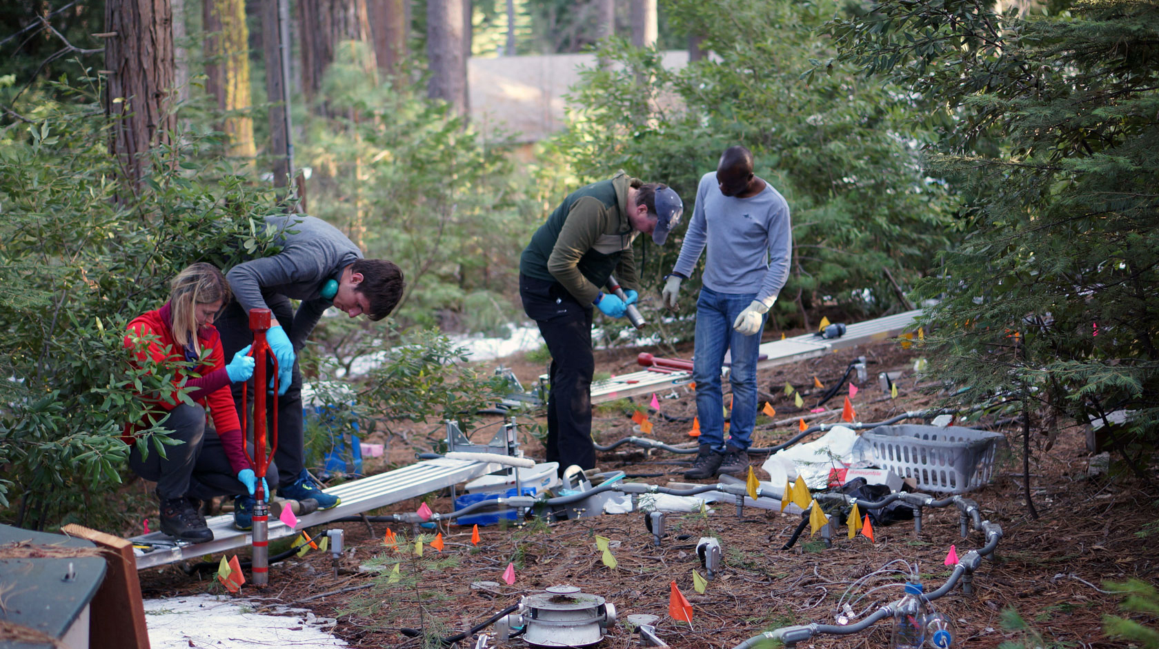 Researchers from the University of Zurich measure the soil's carbon content in the Sierra Nevada National Forest
