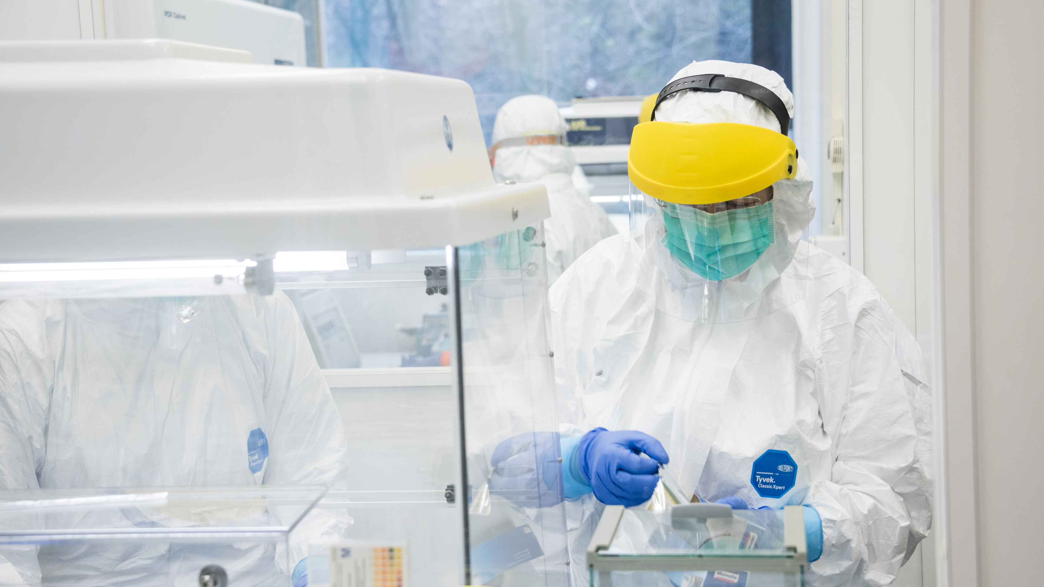 In the UZH clean room, DNA samples from skeletons are examined for old bacterial genomes.