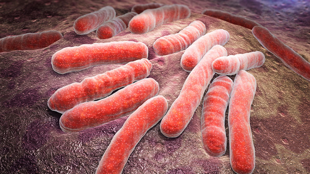 Infectious diseases such as tuberculosis are among the leading causes of death worldwide. Resistant bacteria are making it increasingly difficult to combat them. (Image: iStock / iLexx)