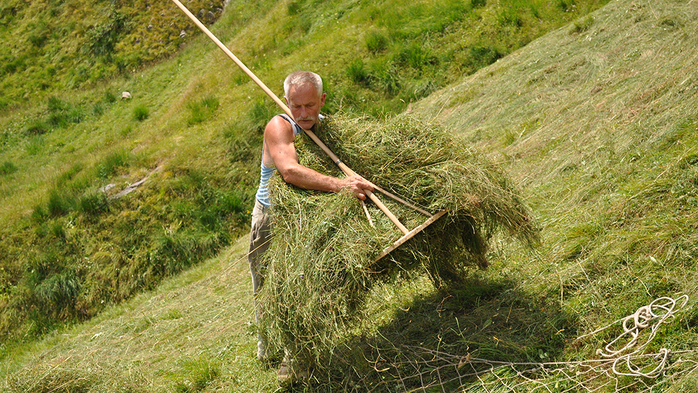 Wildheuer am Hang