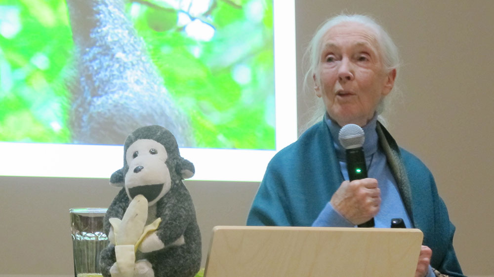 Aktivistin Jane Goodall: «In jedem von uns schlummert ein unbezähmbarer Wille.»