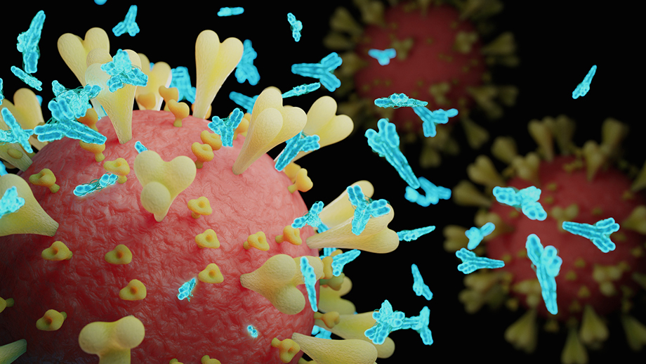 Antibody responce againgst SARS-CoV-2