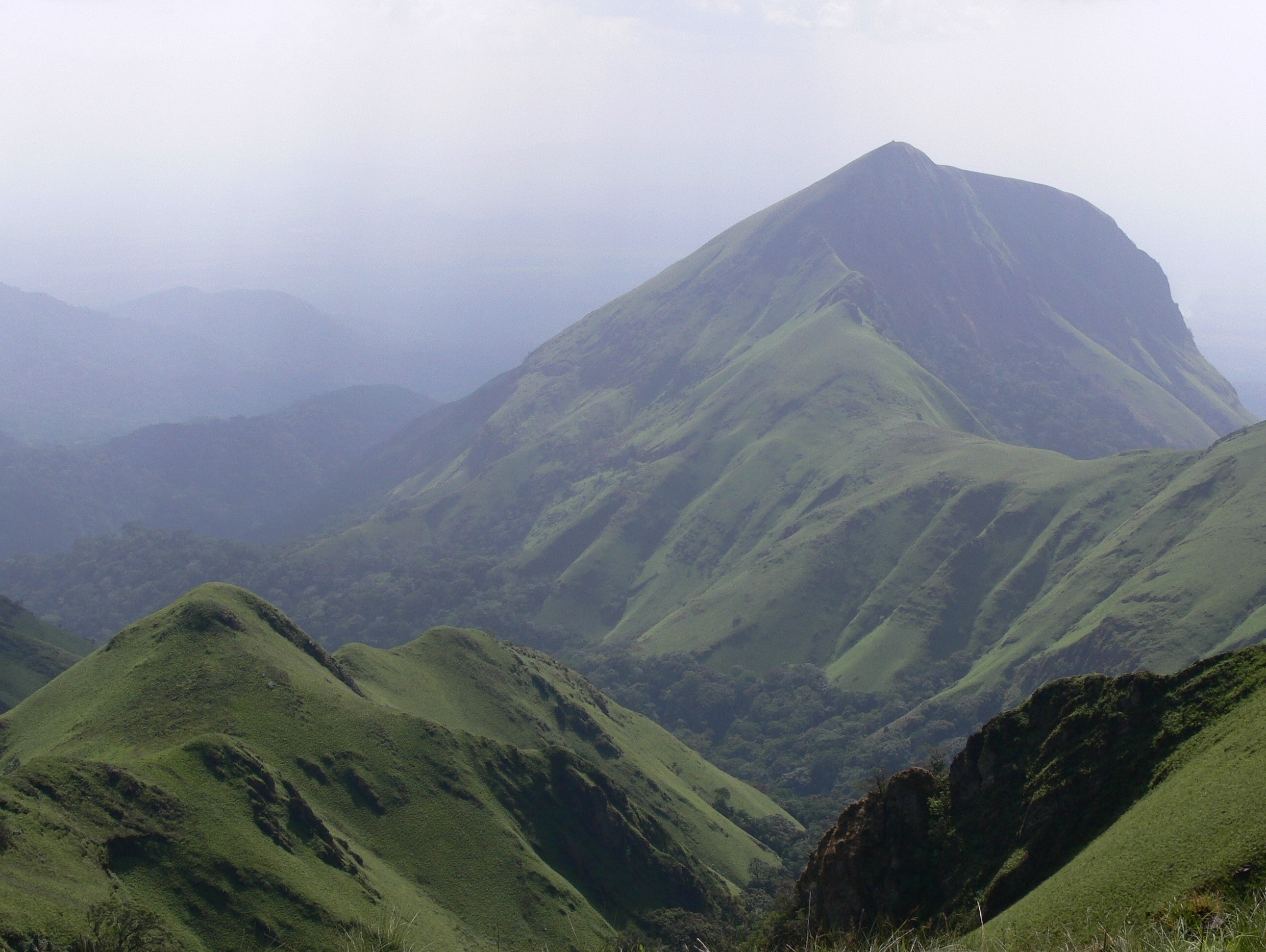 Nimba Mountains, Guinea