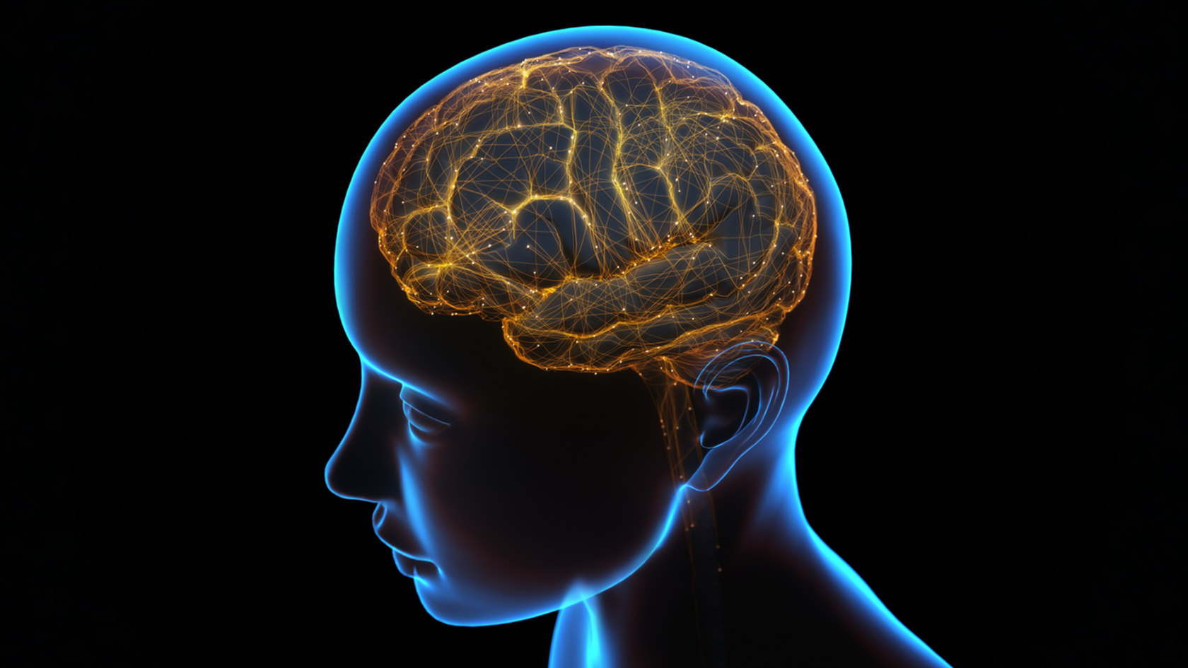 Symbolic representation of the brain