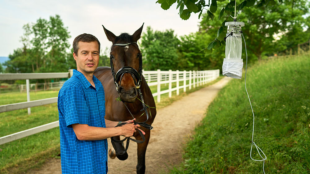 Niels Verhulst mit Pferd