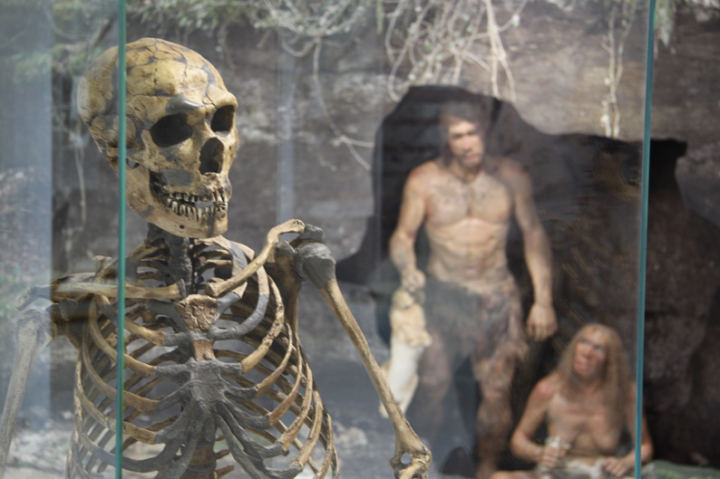 Links die Rekonstruktion eines Neandertalers. Anatomisch unterscheiden sich die Neandertaler deutlich vom modernen Menschen. Sie lebten während 250 000 Jahren, vor rund 30 000 Jahren verlor sich ihre Spur.