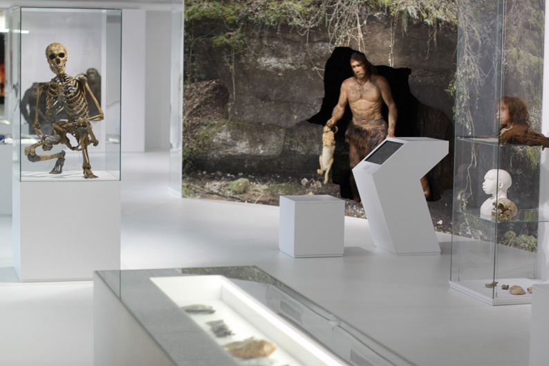 Das neu gestaltete Museum der Anthropologie zeigt die Menschwerdung anhand von Funden, Grafiken, Filmen und Kunstinstallationen.