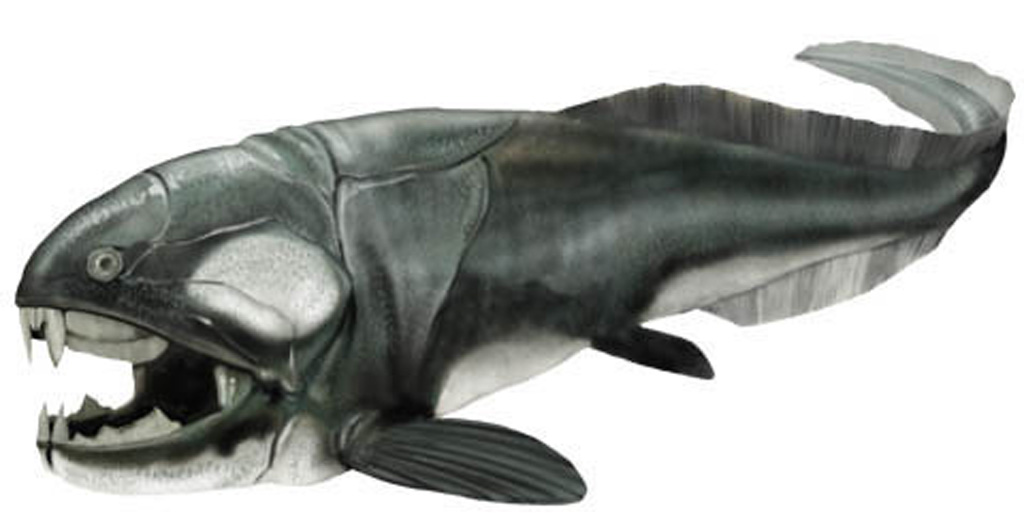 Panzerfische wie der bis über sechs Meter lange Dunkleosteus bevölkerten die Weltmeere des Devon.