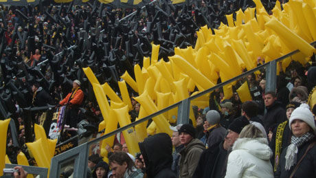 Fans im Fussballstadion