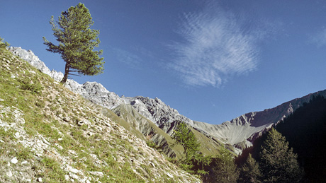 Schweizerischer Nationalpark